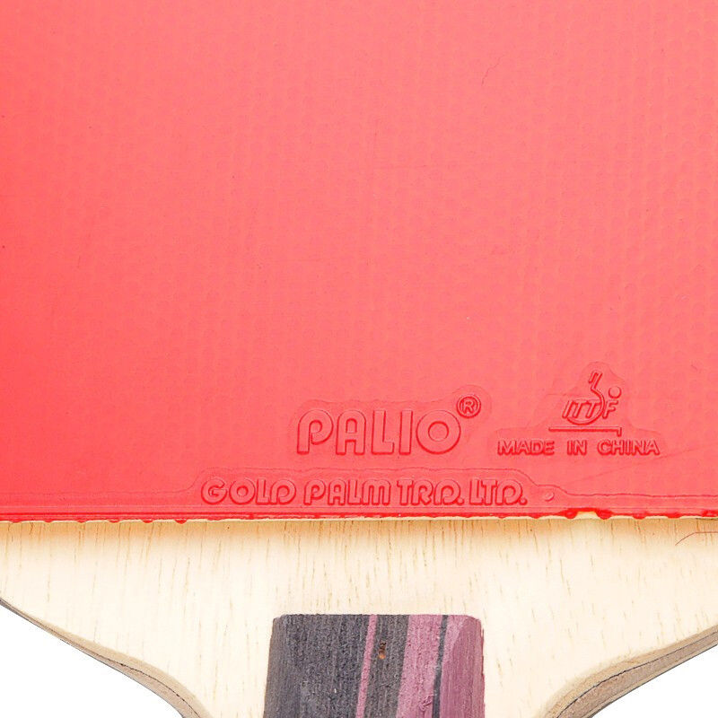 Raqueta de tenis de mesa de ca - Table Tennis Kit Bag reseña y precio