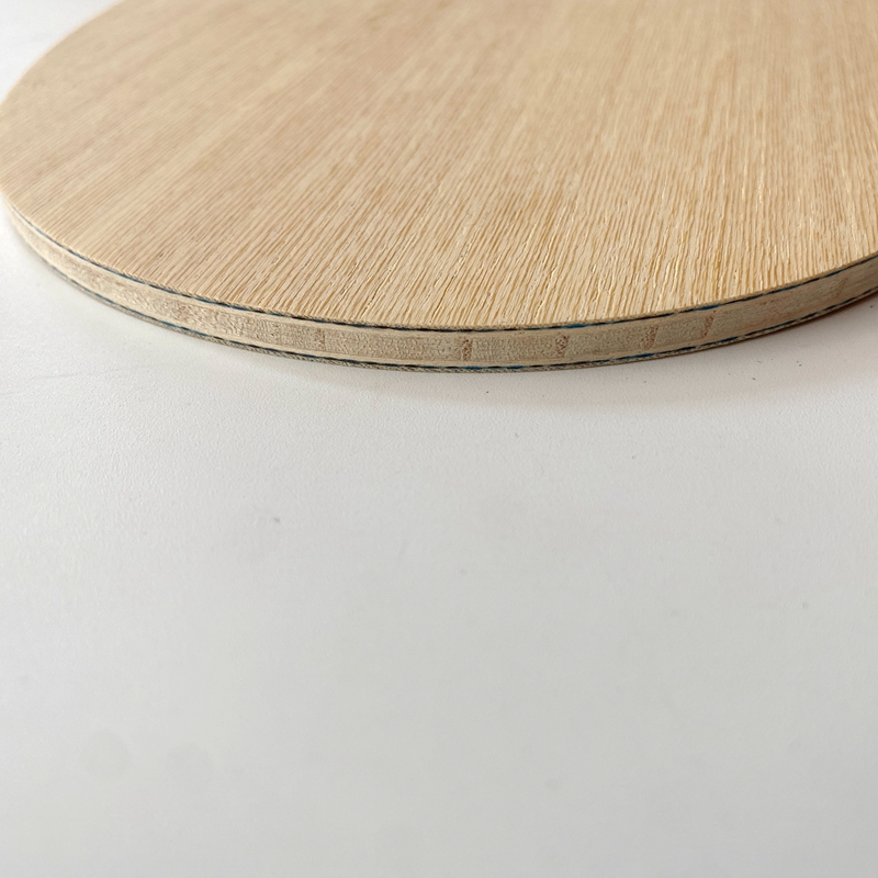 Raqueta de Tenis de Mesa Lemur - Table Tennis Yasaka reseña y precio
