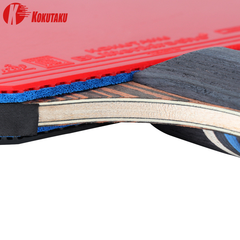 Raqueta de ping pong profesion - Table Tennis Kit Bag reseña y precio